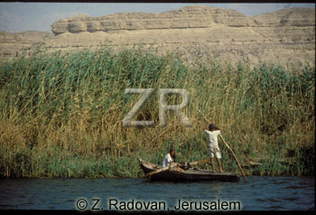 Papyrus on the Nile (Zev Radovan)